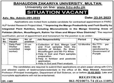 Latest Bahauddin Zakariya University Multan BZU Labor Posts Multan 2023