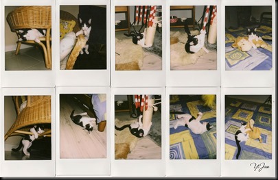 scan0007