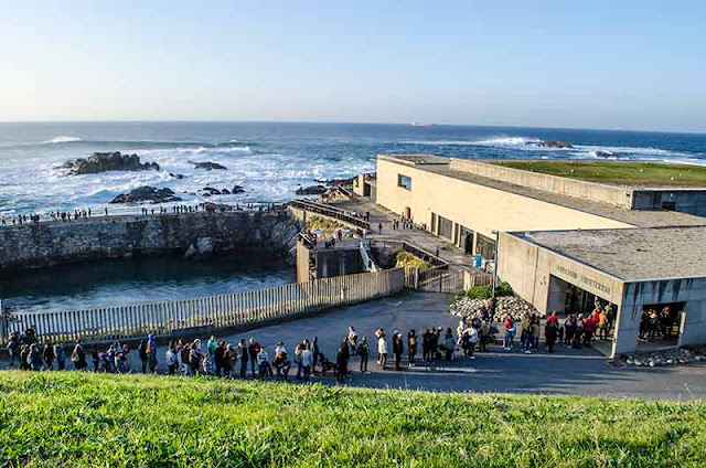 Aquarium Finisterrae