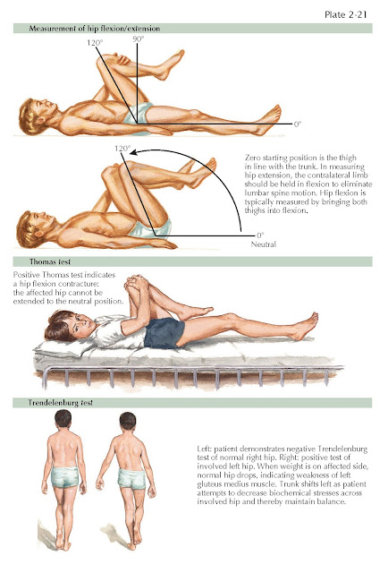 PHYSICAL EXAMINATION