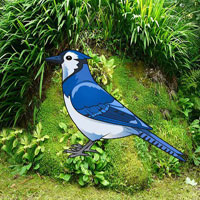 WOW Escape Help The Blue Jay Bird