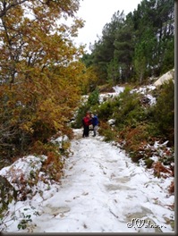 P1050086