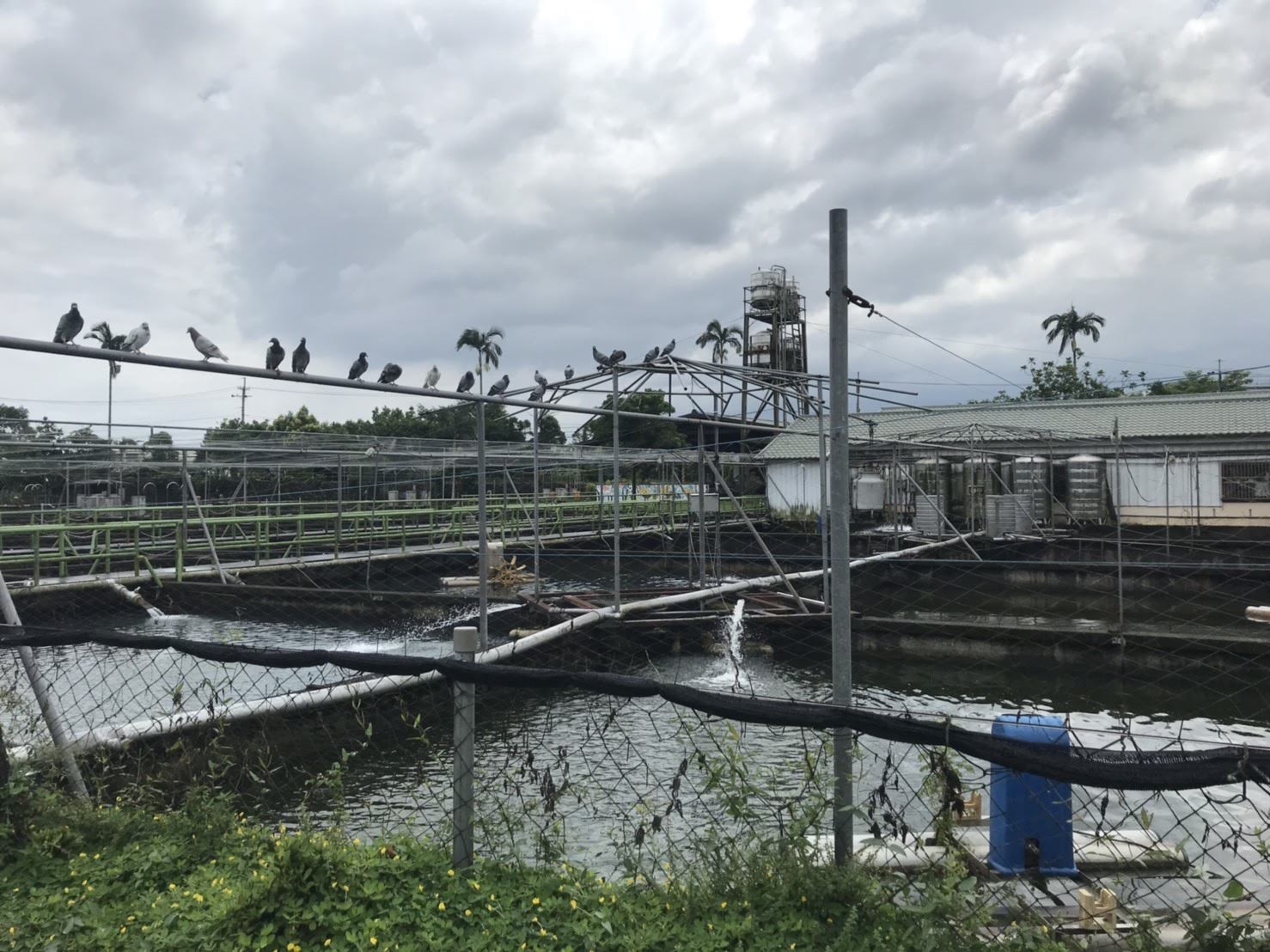 【宜蘭員山美食】八甲休閒魚場