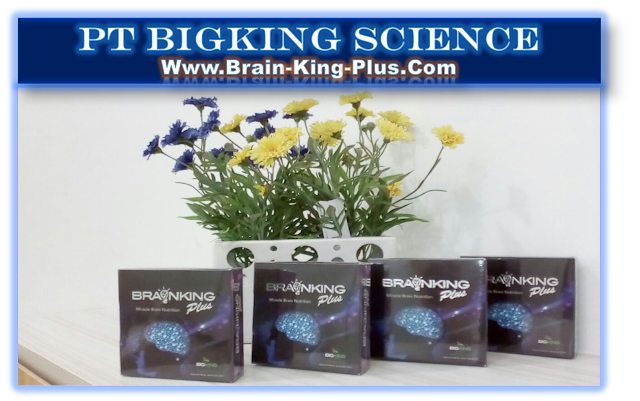 Brainking Plus International Nutrition, Brain King Plus Nutrisi Indonesia, Brain Nutrition Brainking Plus, Brainking Nutrition 