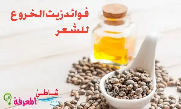 ما هي فوائد وأضرار زيت الخروع للشعر وكيفية استخدامه