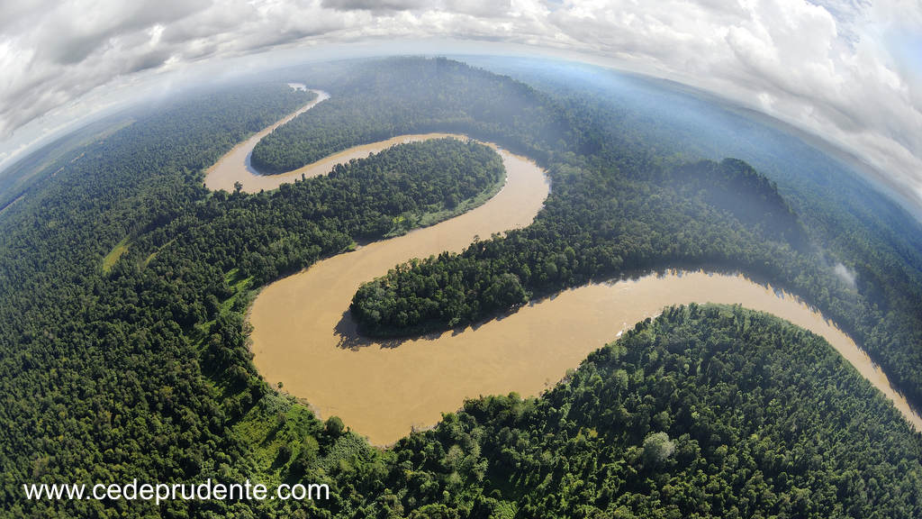 Cede Prudente Blog Wildlife Photography In Borneo Kinabatangan Wildlife Sanctuary Sabah Malaysia In The Island Of Borneo