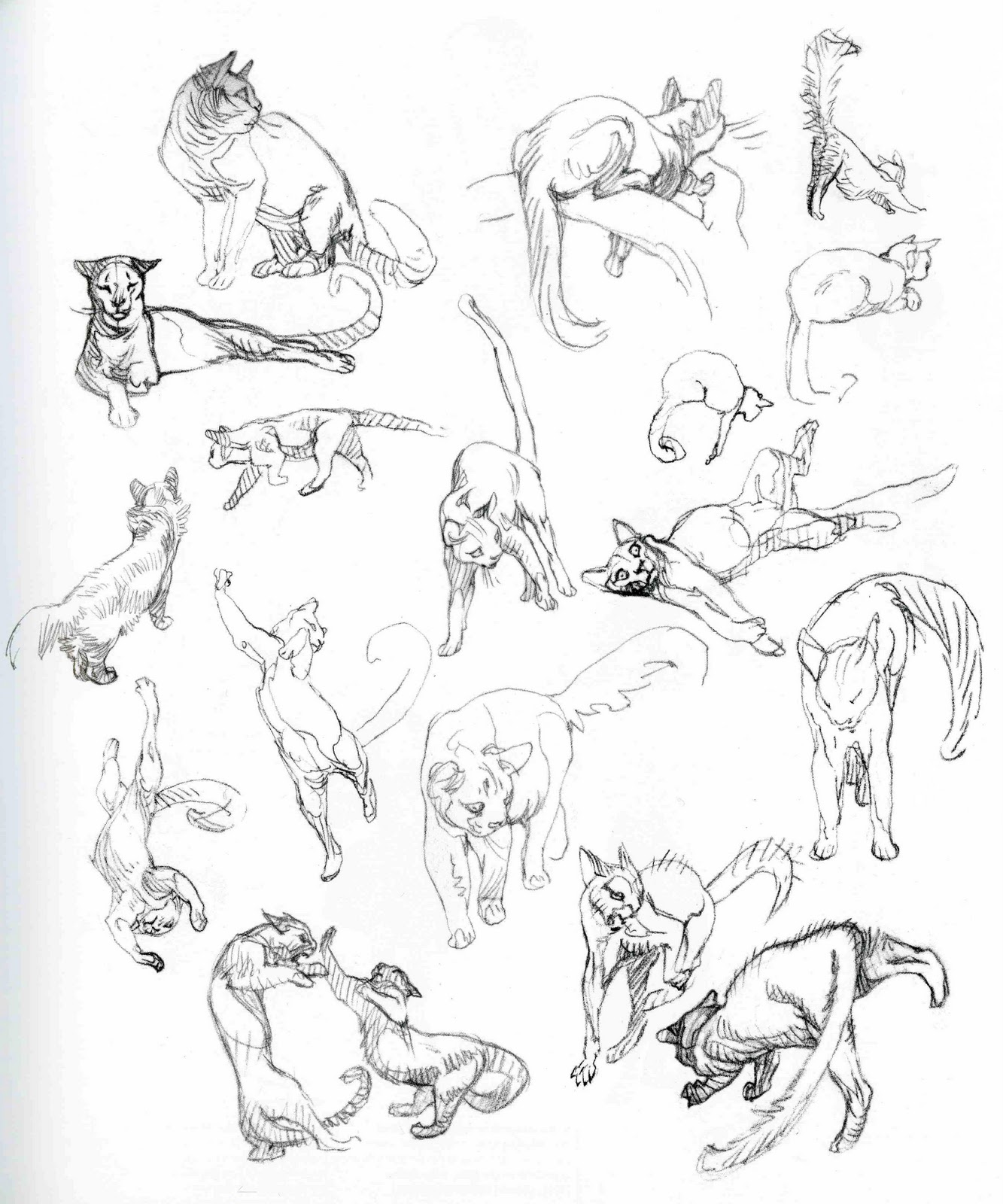 Character and Creature Design Notes Claire Wendling s Cats 