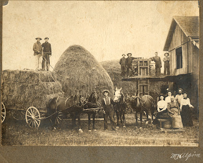 farms are almost unknown in Connecticut, and the average-sized farm ...