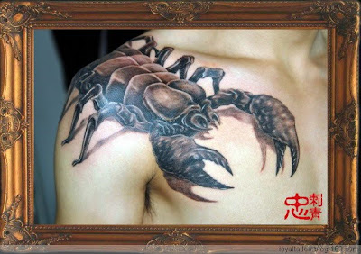 Scorpion Tribal Tattoos on Tattoo Innovation  Scorpion Tattoo