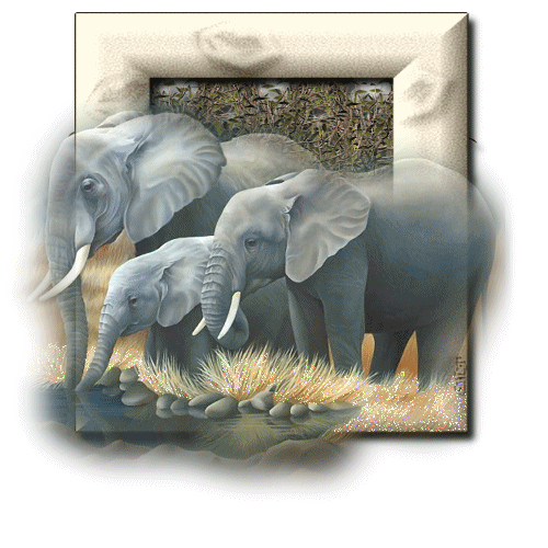 Gif de elefante
