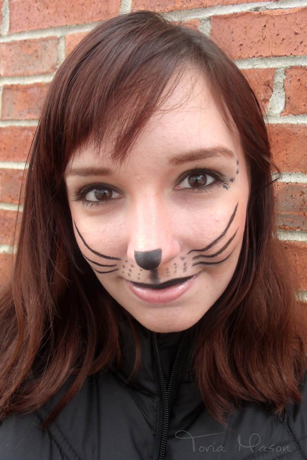  Cat Whiskers Makeup  Mugeek Vidalondon