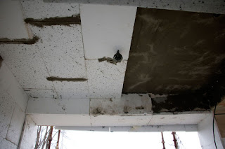 Ceiling of the porch