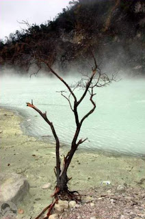 Tempat Wisata Di Bandung - Kawah Putih Bandung 5