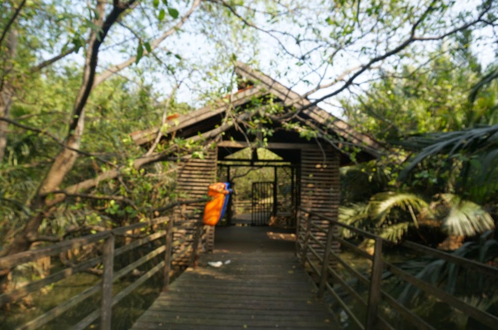 aemvede: Wisata Mangrove, Jakarta Utara