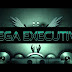 Mega Executivo 2015