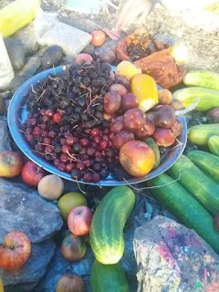 Cherries, apples, cucumbers and other food on a plate and on stones on the ground.