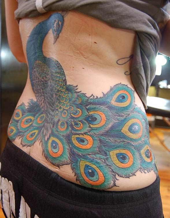 amazing trendy peacock bird tattoo art and beautiful feathers