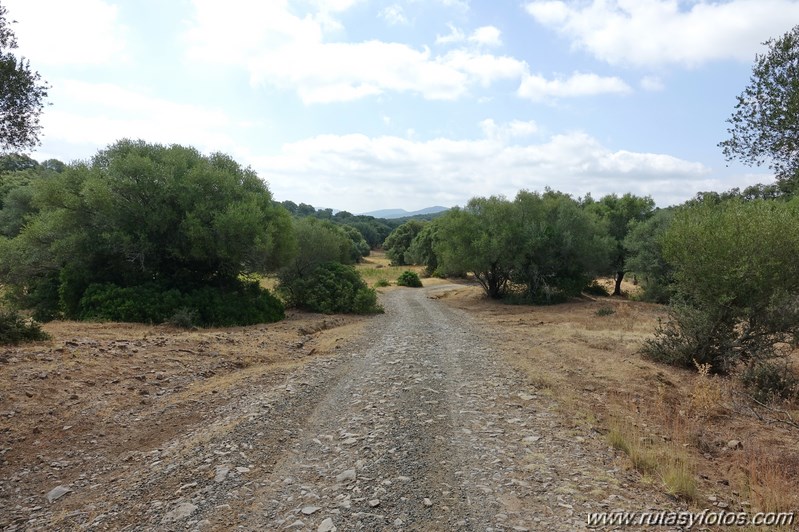 Cañada de los Ratones - Cañada de Mercegal - Necrópolis de Monte Bajo