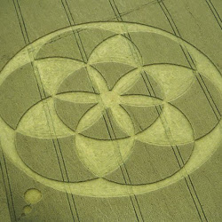 gambar crop circle, foto crop circle, alien, ufo, lingkaran tanaman, www.digaleri.com