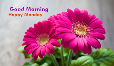 good morning monday images download