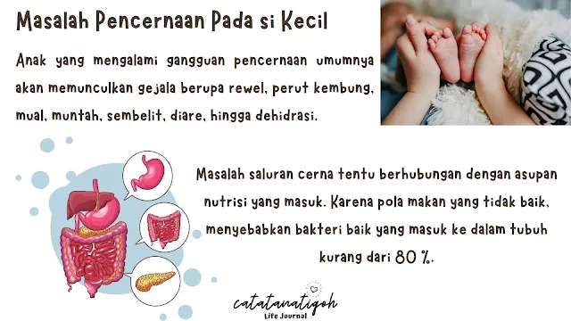 probiotik untuk bayi