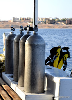 Diving in the Red Sea