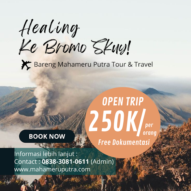 privat trip bromo,pananjakan,gunung bromo,open trip,bromo,paket wisata,malang,bukit teletubies,trip bromo,bukit cinta,savana bromo,