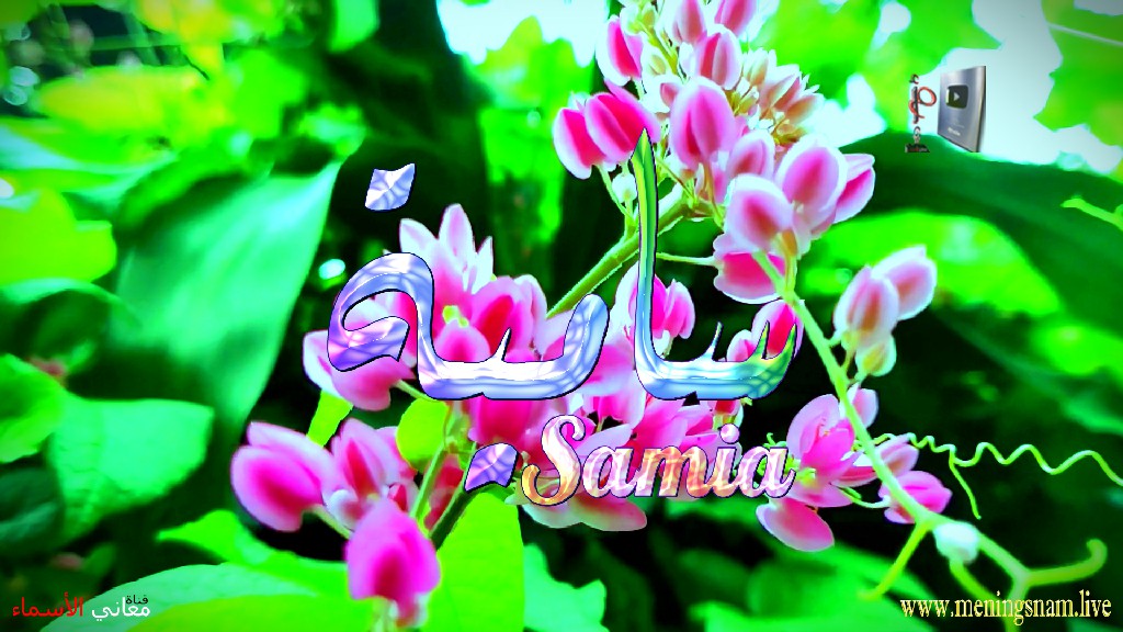 معنى اسم, سامية, وصفات, حاملة, هذا الاسم, Samia,