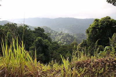 blanchisseuse-Arima Road, Trinidad