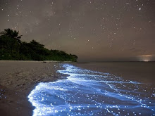 Beberapa Fenomena Laut yang Menakjubkan !!