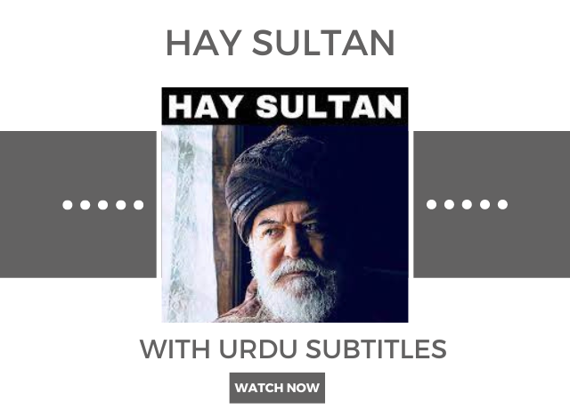 Hay Sultan Season 1 All Episodes With Urdu Subtitles