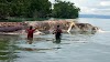 Warga Pesisir Pantai Kecamatan Huamual di Hebohkan atas Penemuan Makhluk Raksasa yang Terdampar di Pantai