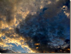 IMG_0012