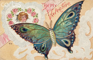 valentine butterfly postcard