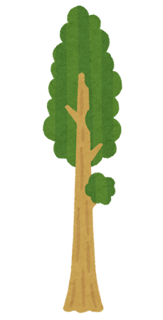 セコイアの木のイラスト