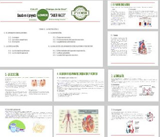 https://prezi.com/rj5cte2tztty/c-naturales-5o-curso-tema-3-la-nutricion-ii/