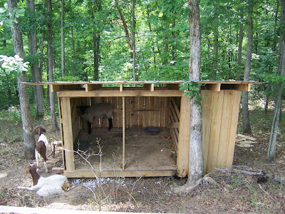 ... originally designed for the goats. This is what it looked like then