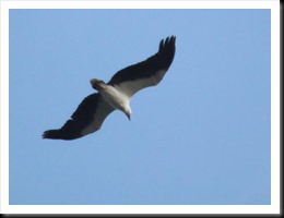 CSC_0121 (2)