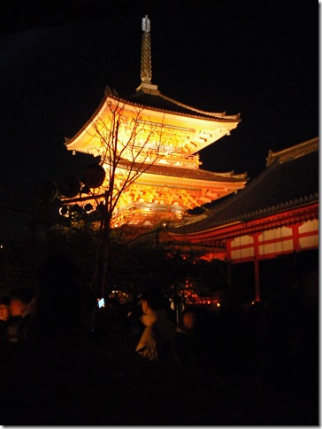 DSCF0011