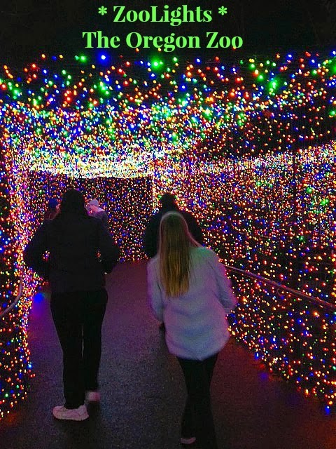 ZooLights At The Oregon Zoo - Ann Again and again