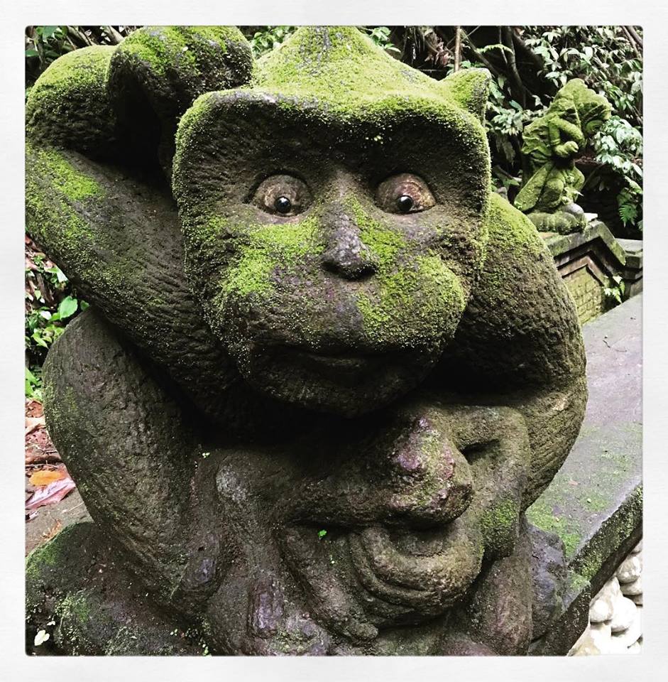Ubud Monkey Forest Tempat Wisata di Bali untuk Berjumpa Monyet