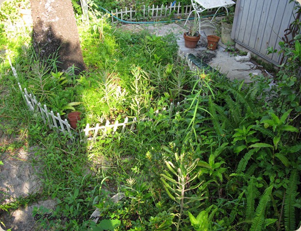 09-11-what-path5