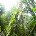 RESERVA FORESTAL LA NONA