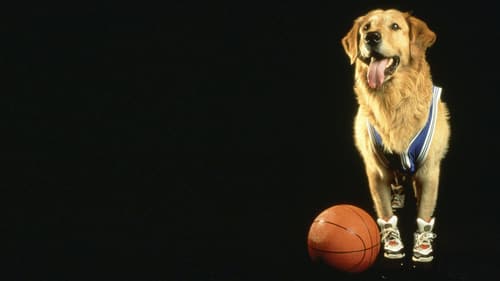 Air Bud 1997 ingles subtitulada