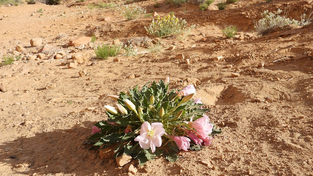 San Rafael Swell
