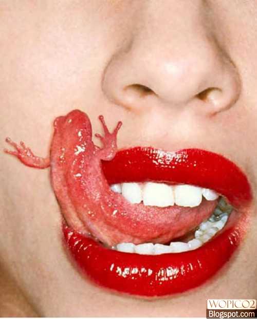 Frog Tounge