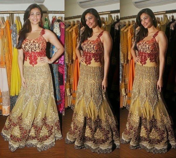 Bollywood Celebrities in Designer 2015 Lahnega and Gown