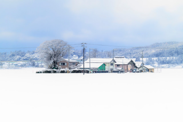#photo #landscape #sigma #foveon #sdquattroh #japan #yamagata #yuza #山形県 #遊佐町 #山形帝國 #写真 #風景写真