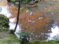 池に映った紅葉の木