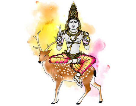 స్వాతి నక్షత్రం గుణగణాలు - Swati nakshatra :